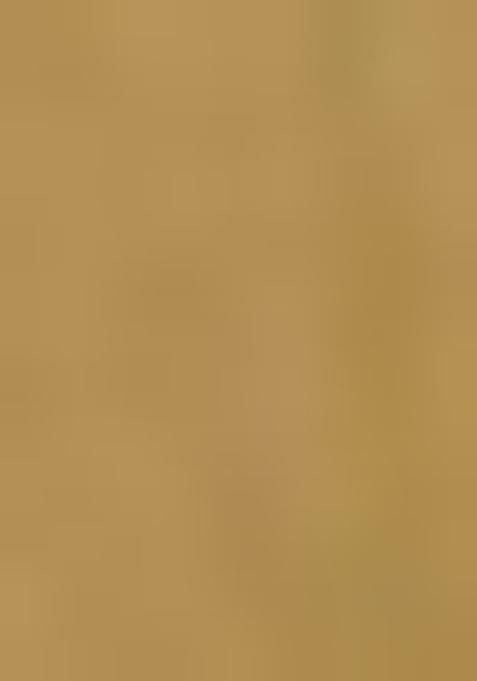 Golden Jacquard Brocade Lehenga Set