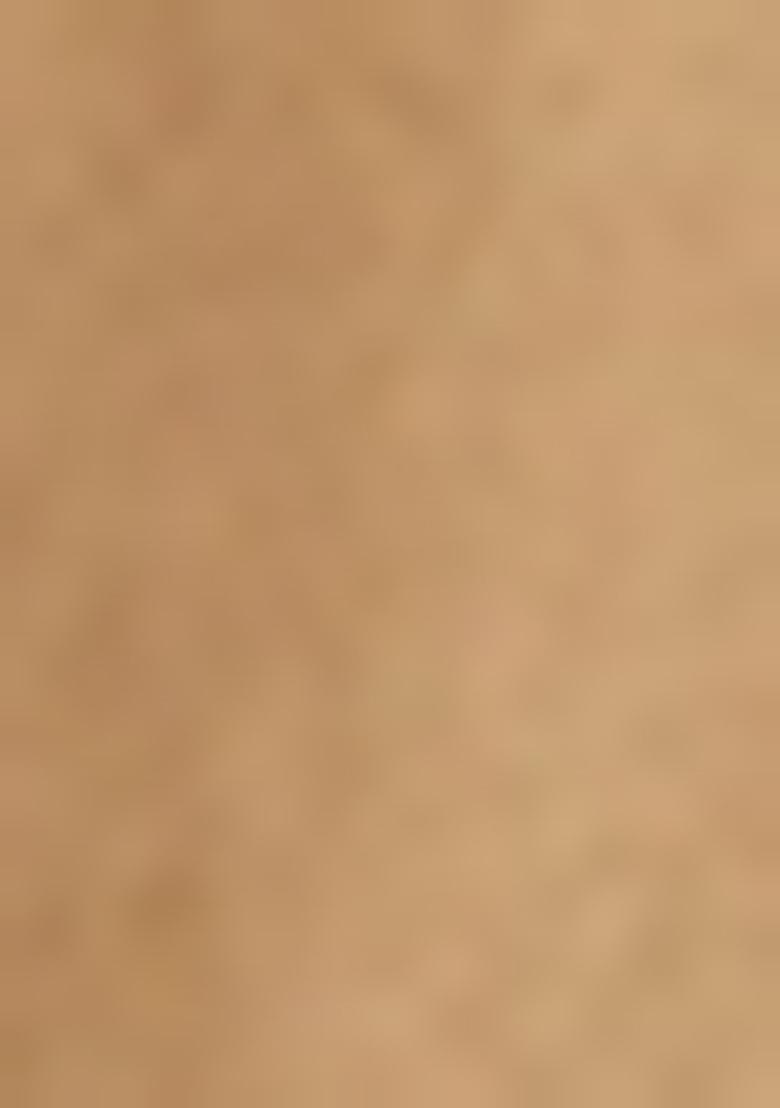 Beige Printed Tussar Lehenga Set