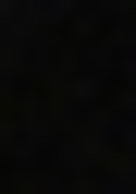 Green Printed Tussar Lehenga Set