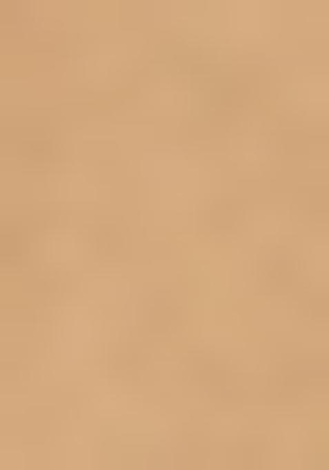 Beige Printed Tussar Lehenga Set