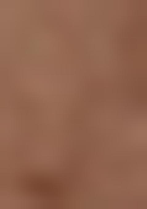 Light Brown Sequin Embriodered Net Lehenga Set