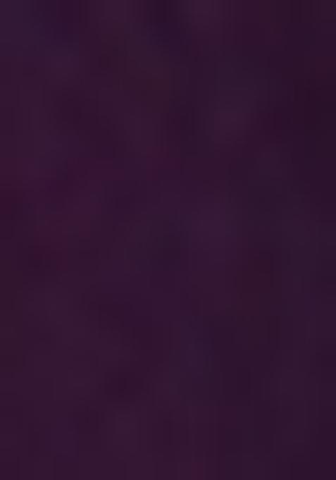 Violet Sequin Embroidered Raw Silk Lehenga Set