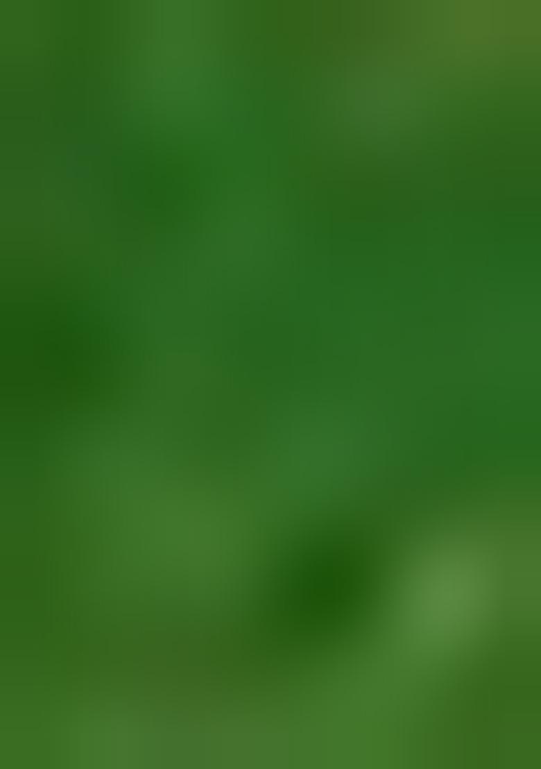 Green Sequin Embroidered Chinon Lehenga Set