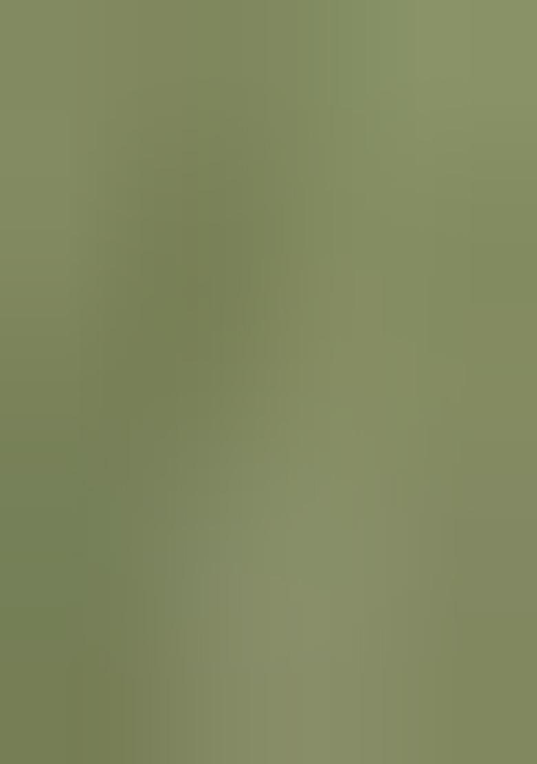 Green Printed Georgette Lehenga Set