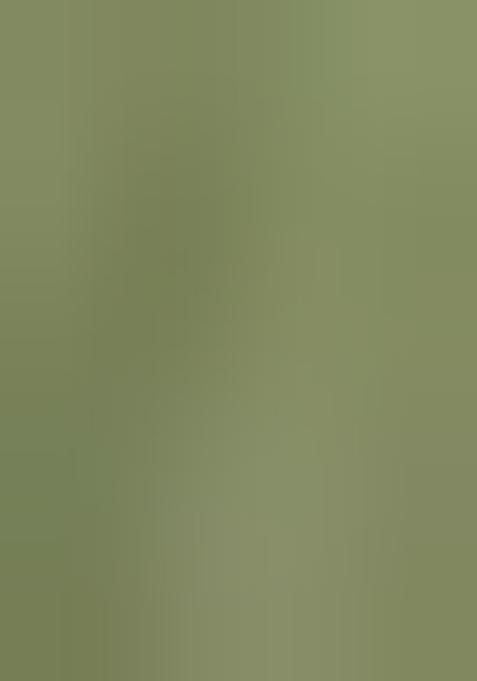 Green Printed Georgette Lehenga Set