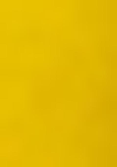 Yellow Printed Organza Lehenga Set