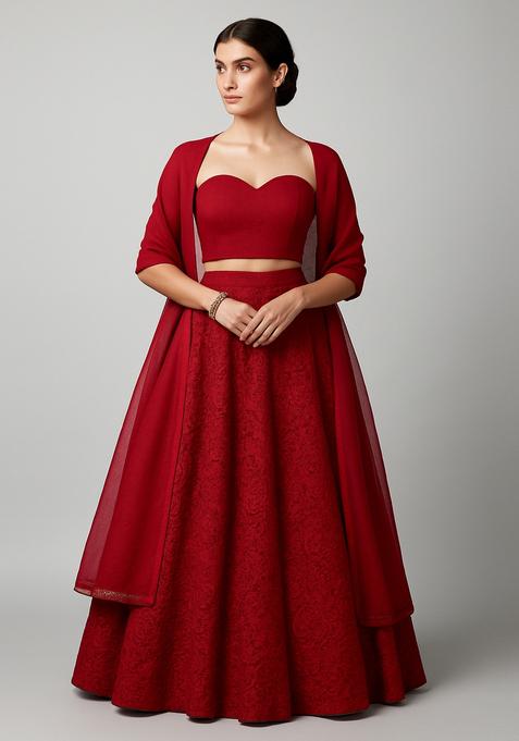 Maroon Embroidered Net Lehenga Set