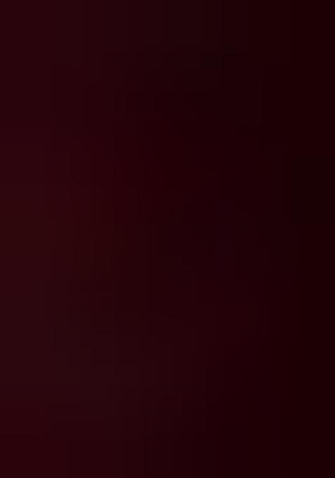 Wine Embellished Blouse Georgette Lehenga Set