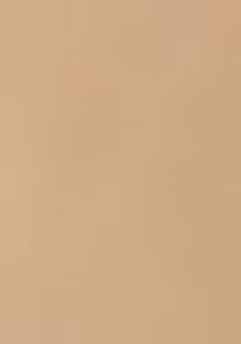 Cream Embroidered Georgette Lehenga Set