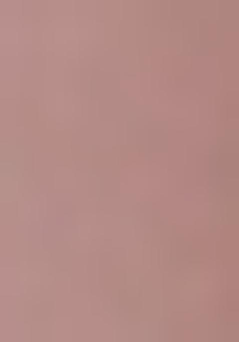 Mauve Embroidered Georgette Lehenga Set