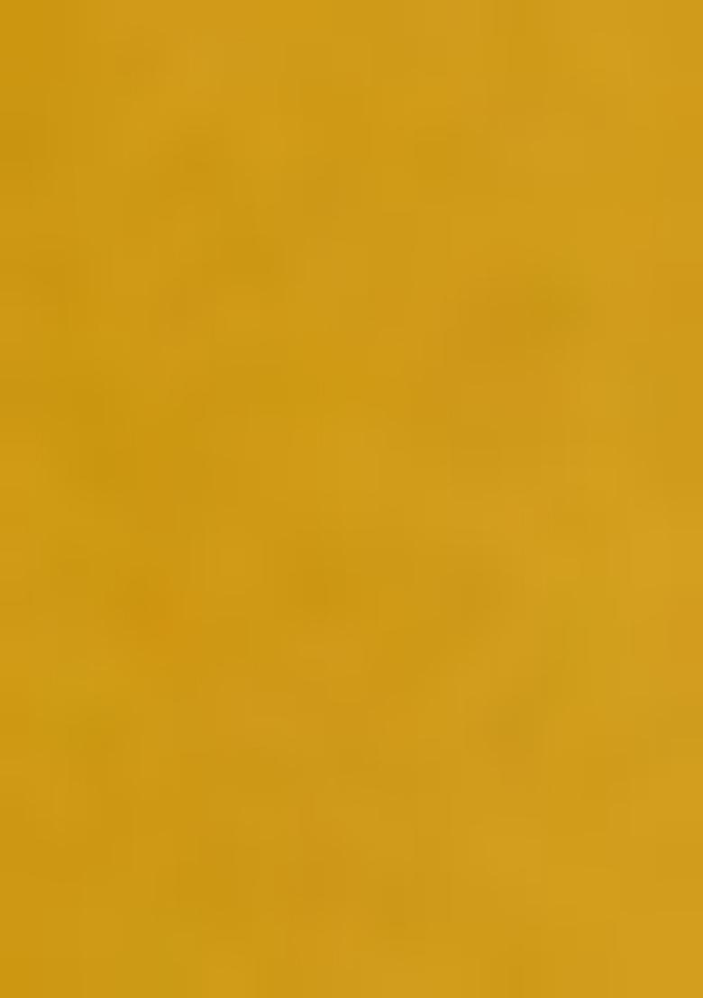 Yellow Embroidered Georgette Lehenga Set