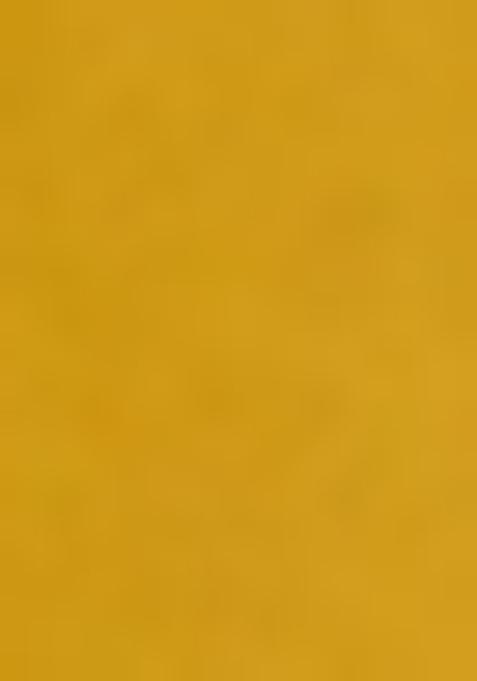 Yellow Embroidered Georgette Lehenga Set