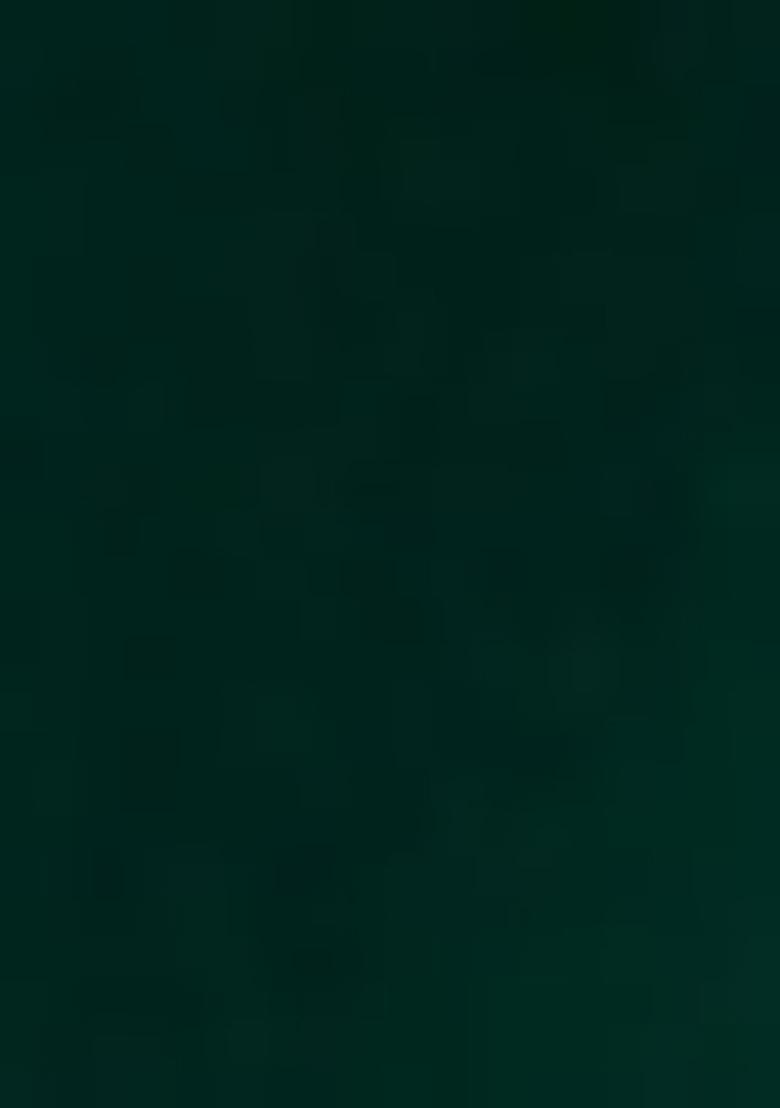 Sea Green Embroidered Georgette Lehenga Set