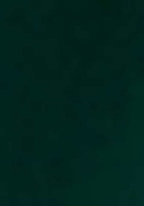 Sea Green Embroidered Georgette Lehenga Set