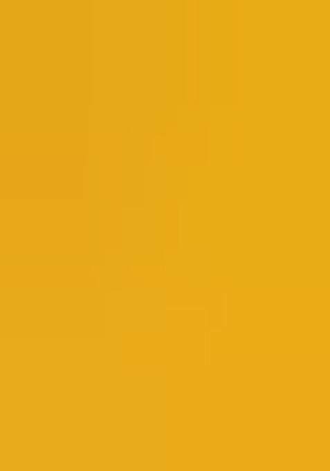 Yellow Sequin Embroidered Raw Silk Lehenga Set