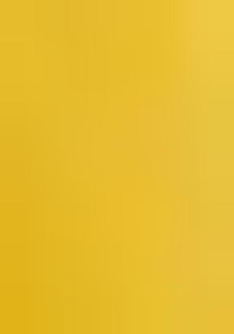 Yellow Embroidered Georgette Lehenga Set