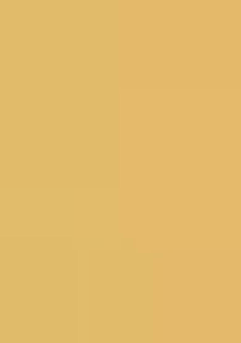 Gold Sequin Embellished Blouse Georgette Lehenga Set