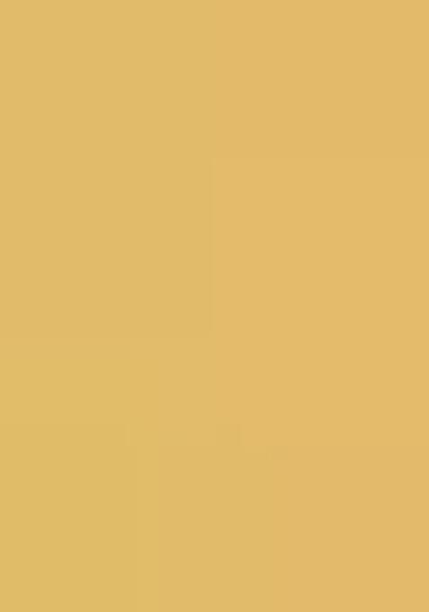 Gold Sequin Embellished Blouse Georgette Lehenga Set