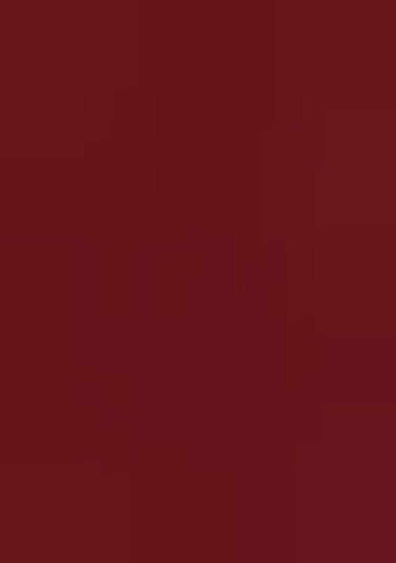 Maroon Printed Georgette Lehenga Set