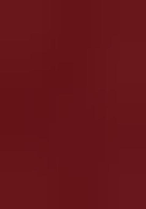 Maroon Printed Georgette Lehenga Set