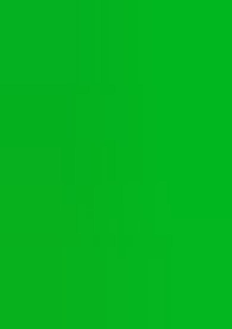 Green Printed Georgette Lehenga Set