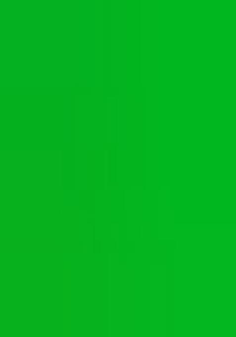 Green Printed Georgette Lehenga Set