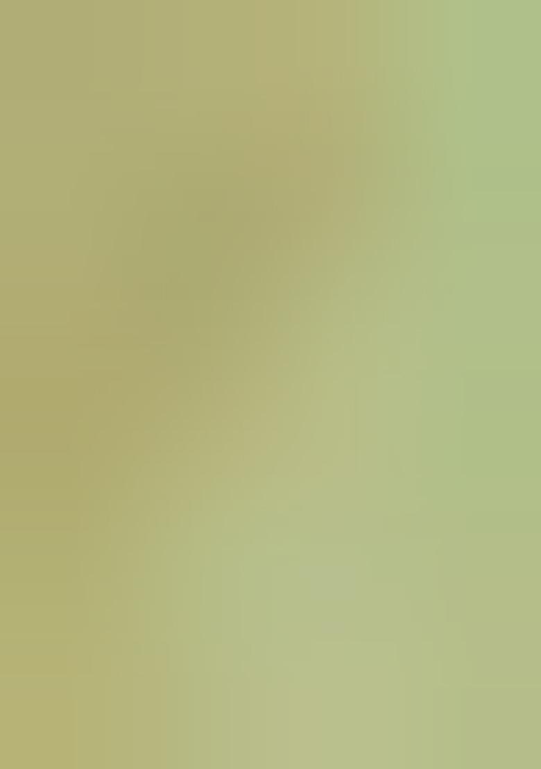 Pista Green Printed Silk Lehenga Set