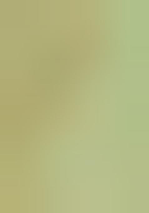 Pista Green Printed Silk Lehenga Set