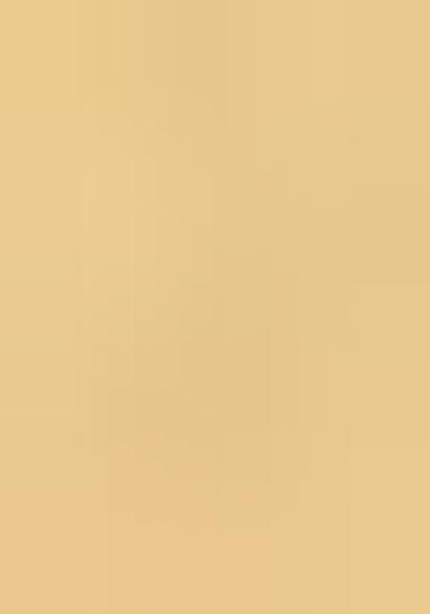 Brown Printed Satin Lehenga Set