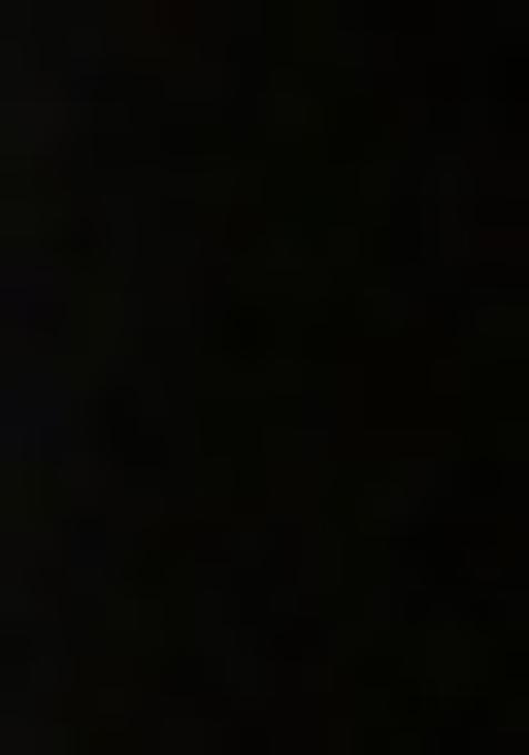 Black Sequin Embellished Blouse Georgette Lehenga Set