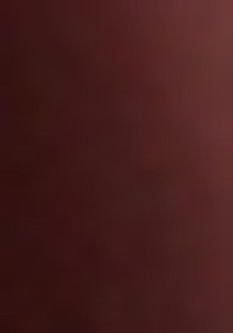 Mauve Embellished Georgette Lehenga Set