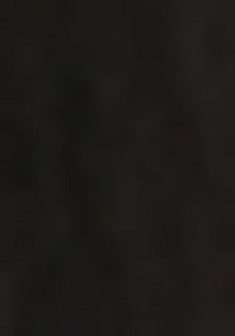 Black Printed Blouse Georgette Lehenga Set