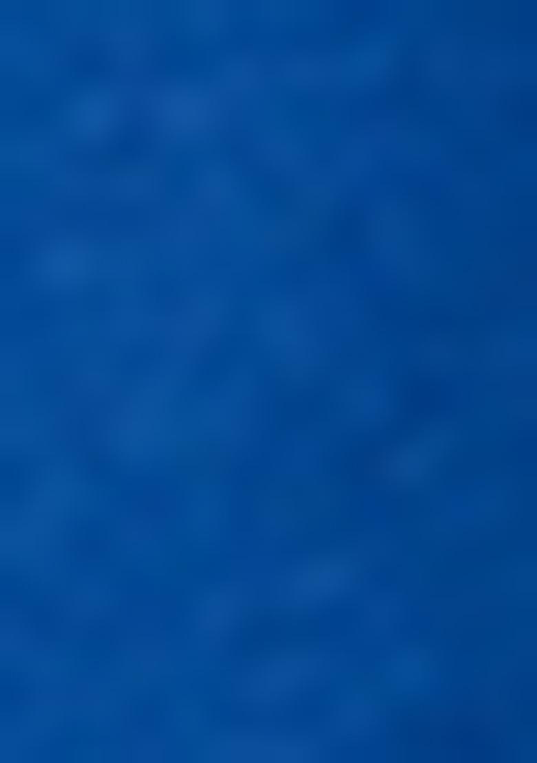 Blue Embroidered Chanderi Lehenga Set