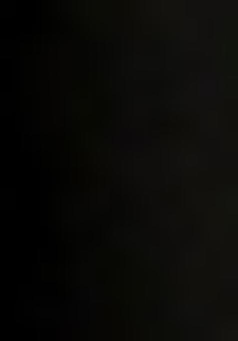 Black Printed Organza Lehenga Set