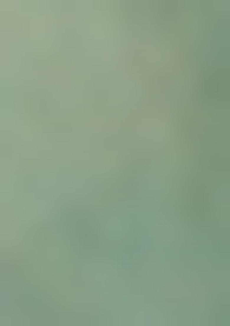 Powder Blue Printed Georgette Lehenga Set