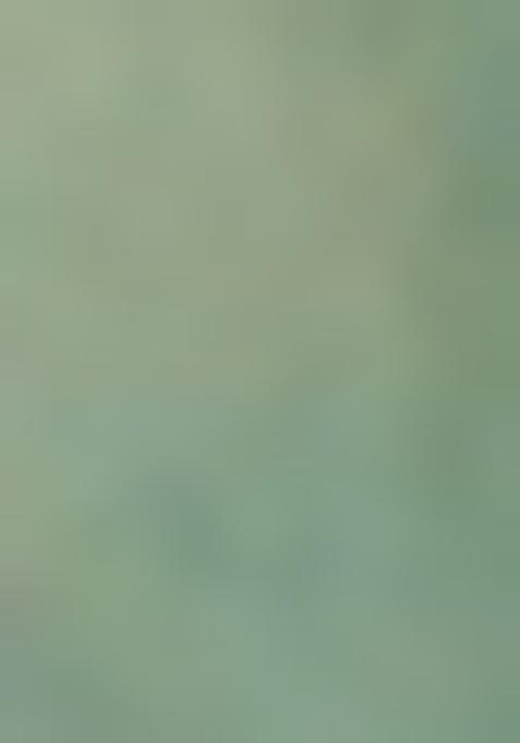 Powder Blue Printed Georgette Lehenga Set