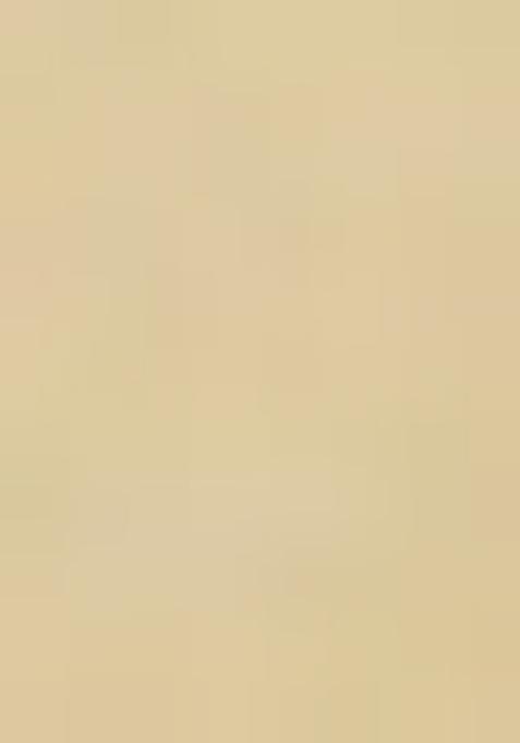 Yellow Printed Satin Lehenga Set