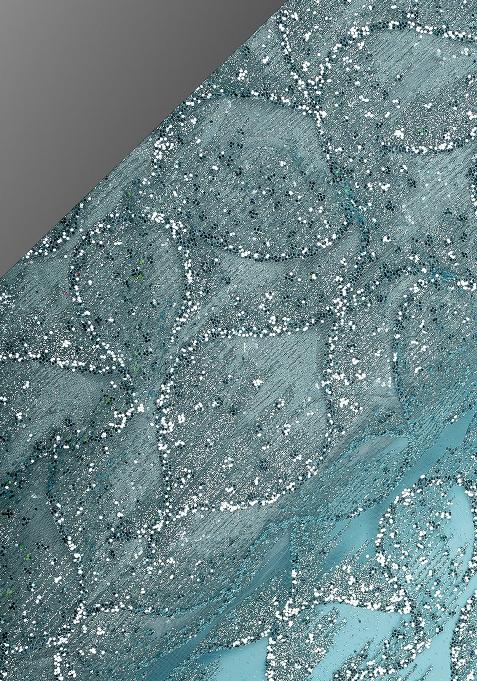 Blue Embellished Net Lehenga Set