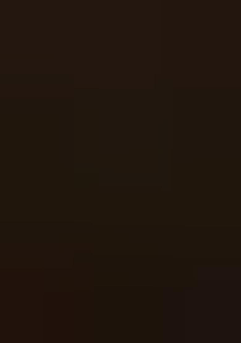 Brown Printed Silk Lehenga Set