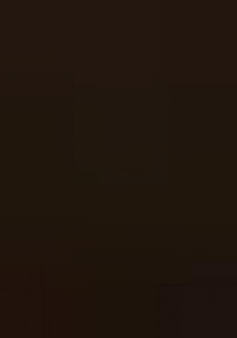 Brown Printed Silk Lehenga Set