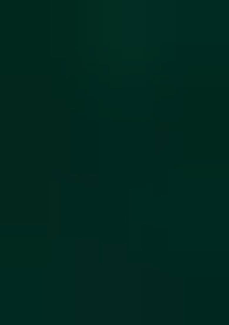 Green Embellished Net Lehenga Set