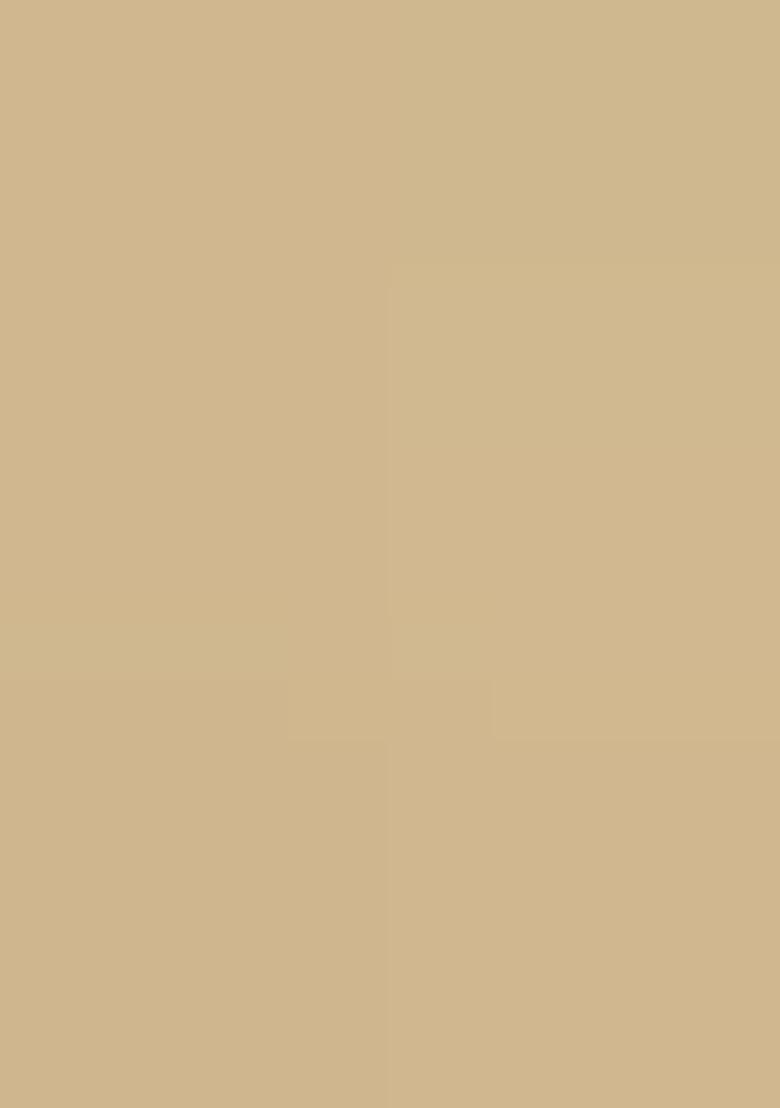 Golden Sequin Embellished Net Lehenga Set