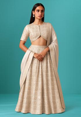 Beige Embellished Georgette Lehenga Set