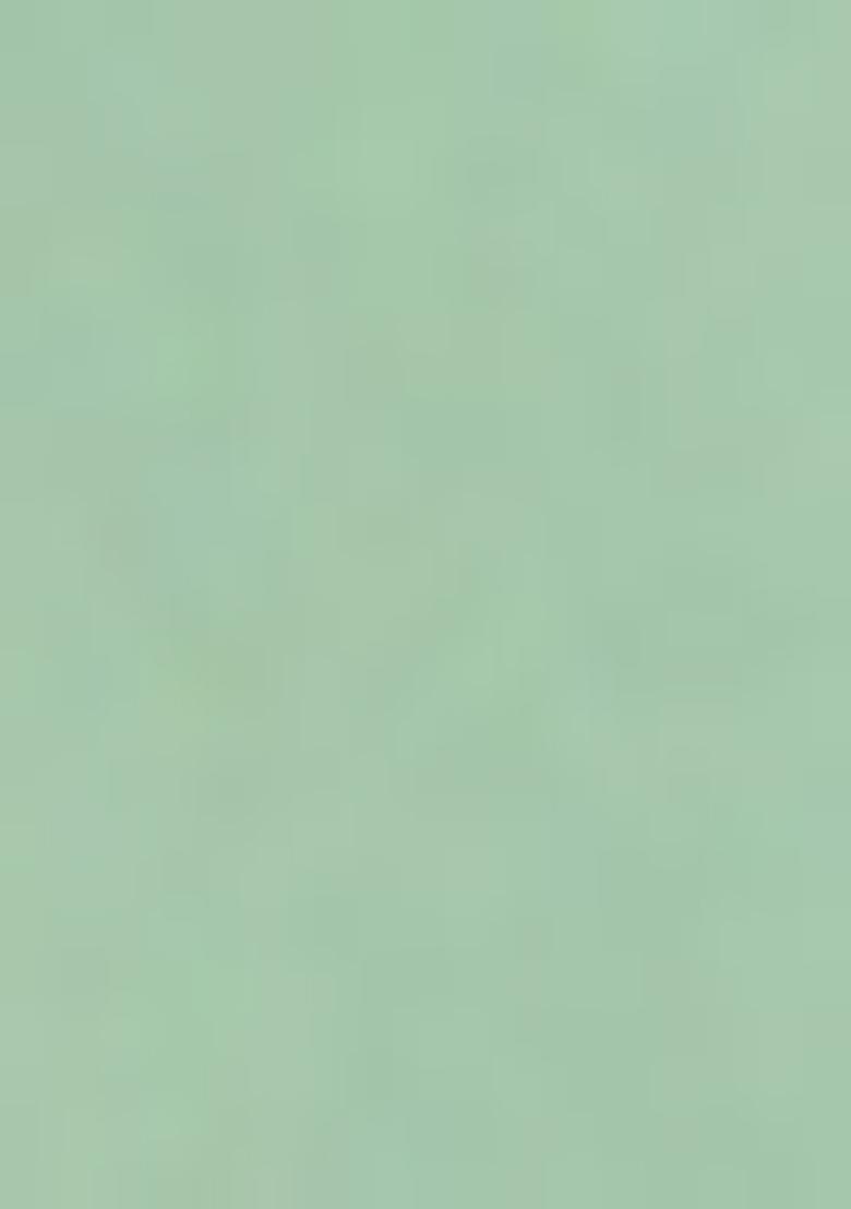 Sea Green Sequin Georgette Lehenga Set