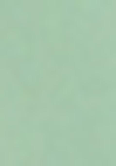 Sea Green Sequin Georgette Lehenga Set