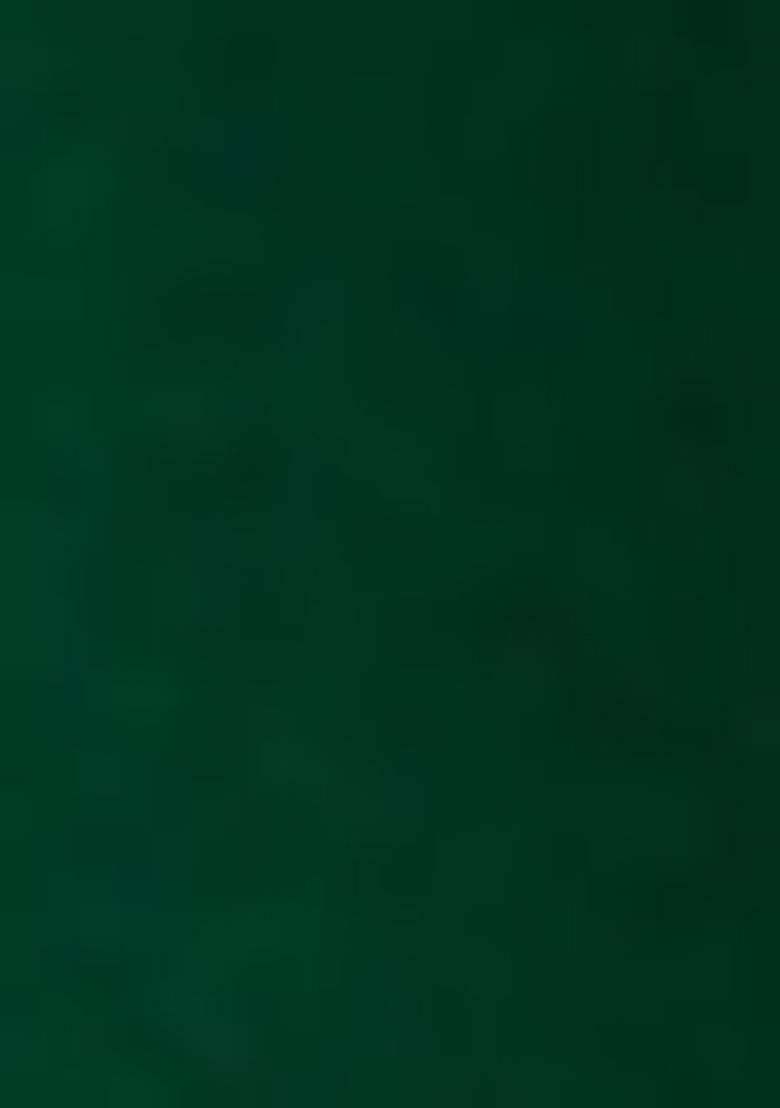 Green Sequin Georgette Lehenga Set