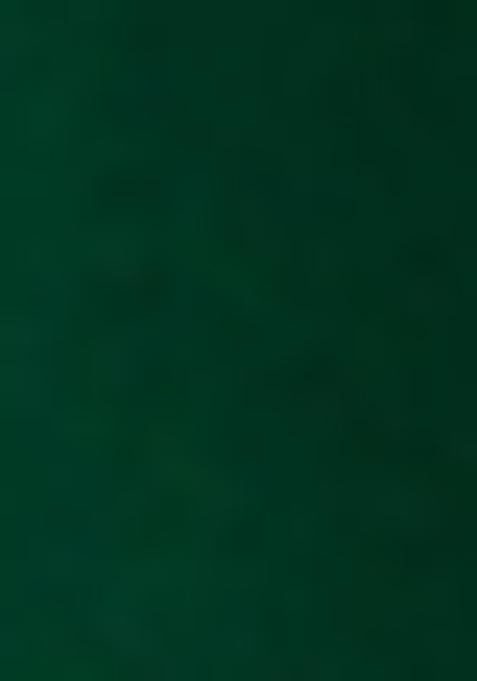 Green Sequin Georgette Lehenga Set