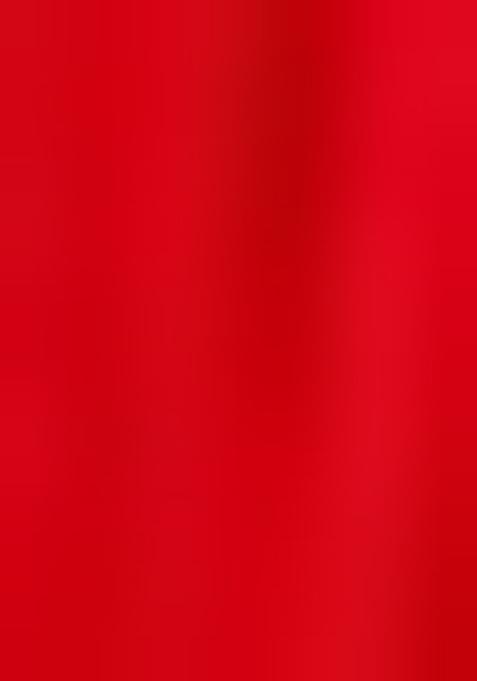 Red Zari And Sequin Organza Lehenga Set