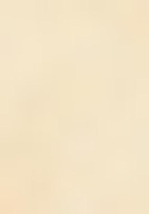 Cream Embroidered Silk Lehenga Set