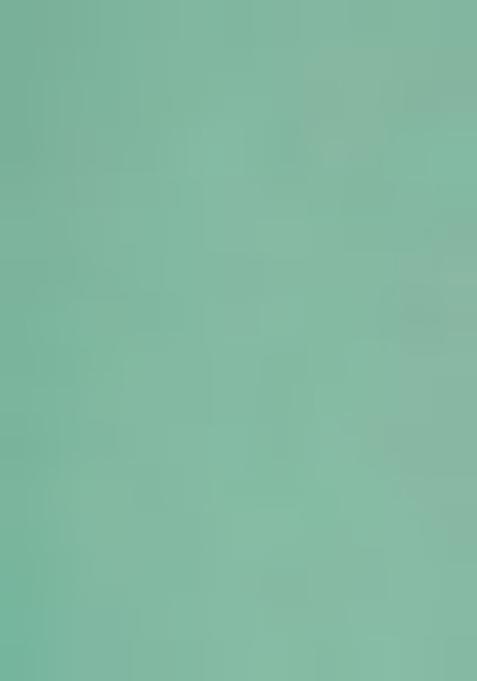 Mint Green Sequin Embellished Organza Lehenga Set